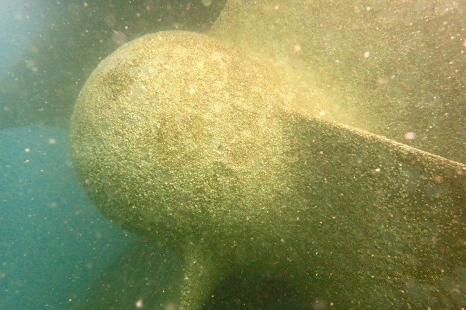 Propeller hard marine growth