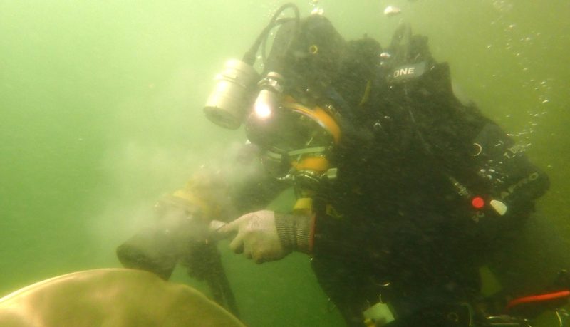 Propeller Repairs
