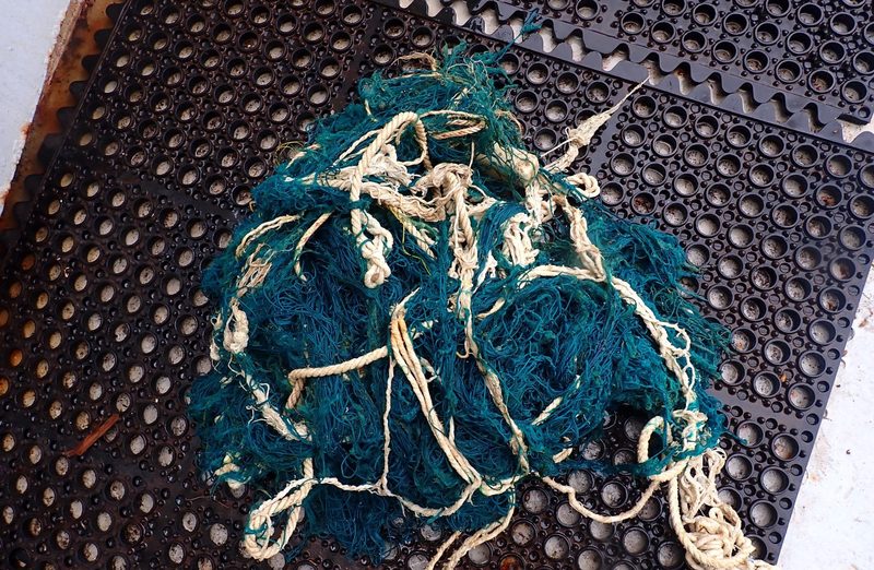 Recovered Debris