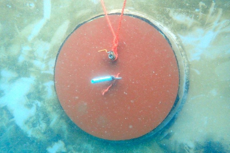 Blanking EGCS discharge