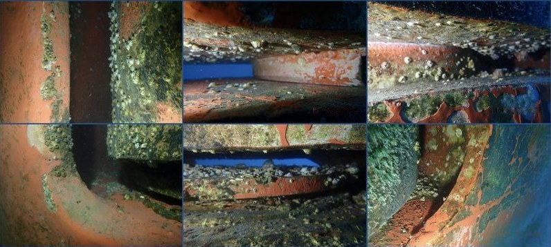 Biofouling growth in the niche areas of a vessel rudder